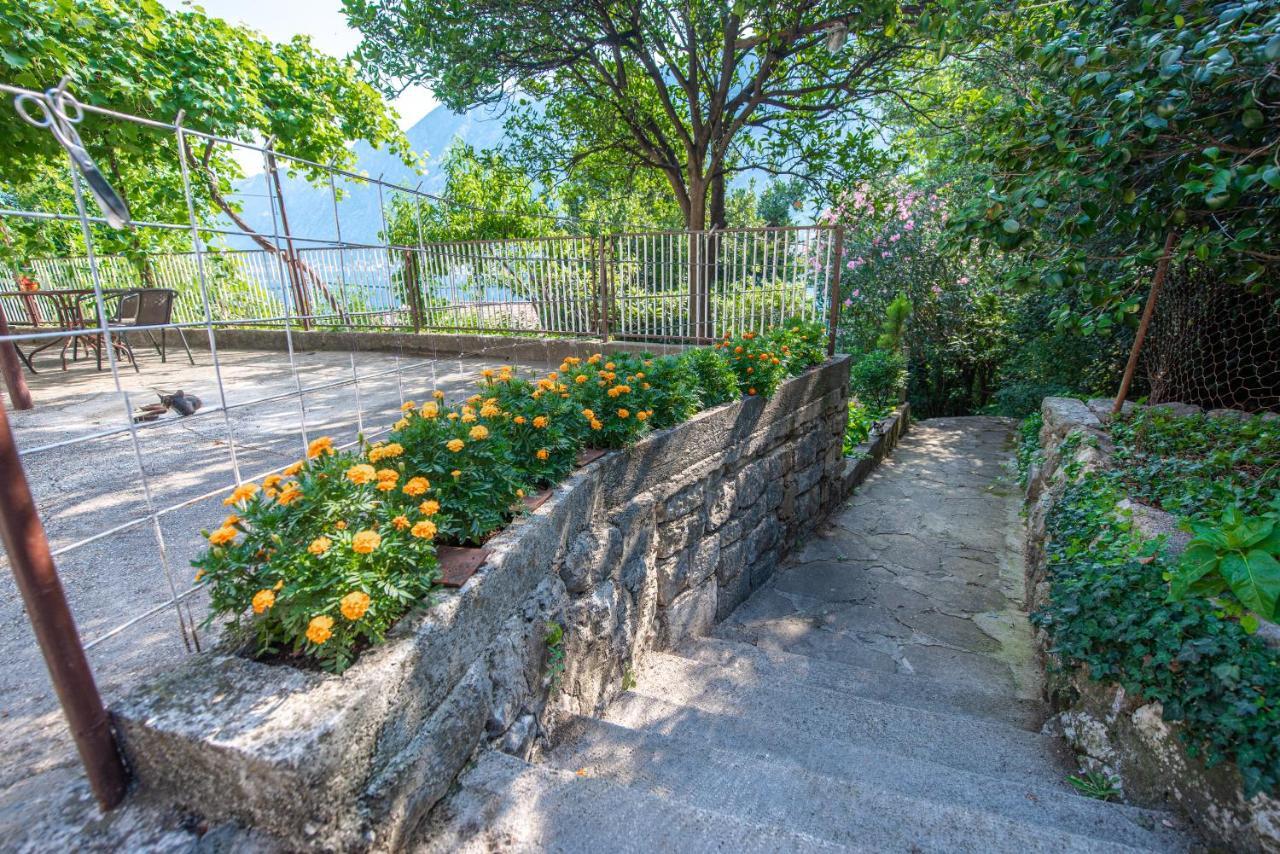 Barbara101 Lägenhet Kotor Exteriör bild