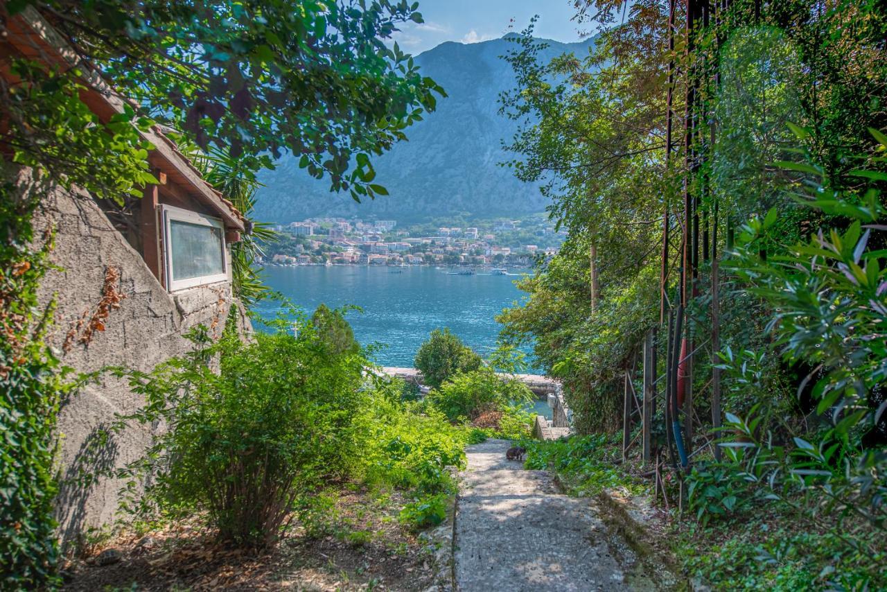Barbara101 Lägenhet Kotor Exteriör bild